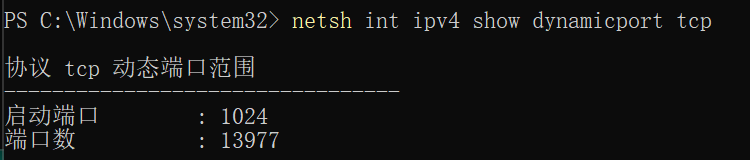 image-20240203143245367
